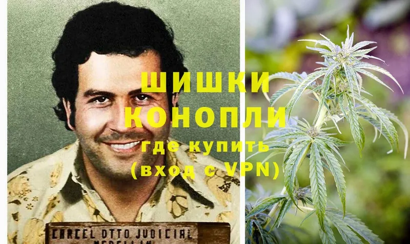 Конопля OG Kush  Нижние Серги 